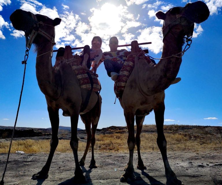 Classic (Vintage) Car & Jeep Safari & Shooting With Camels - Itinerary Details