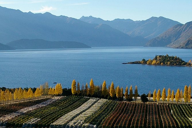 Classic Wanaka Wine Tour - Logistics and Accessibility