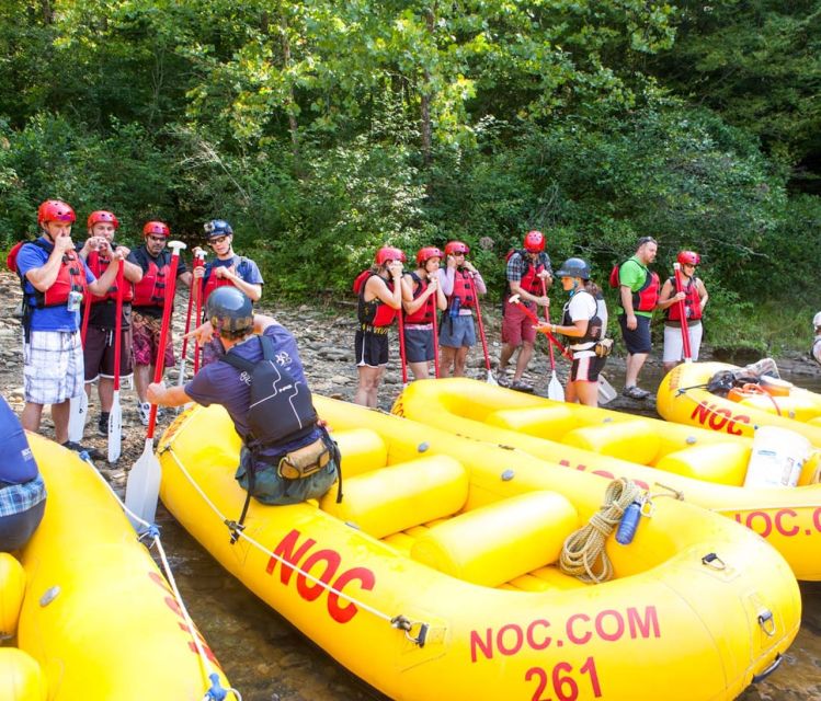 Clayton: Chattooga River Rafting on Class III Rapids - Experience Highlights