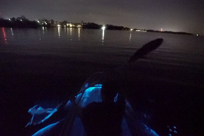 Clear Kayak Bioluminescence Tour - Inclusions and Gear