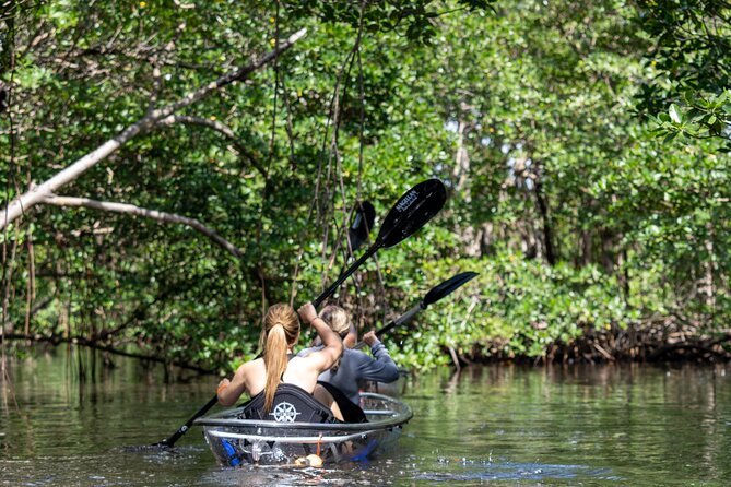Clear Kayak Tour in North Miami Beach - Mangrove Tunnels - Tour Inclusions