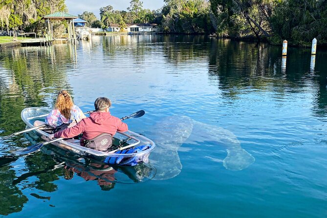 Clear Kayak Tour of Crystal River - Inclusions