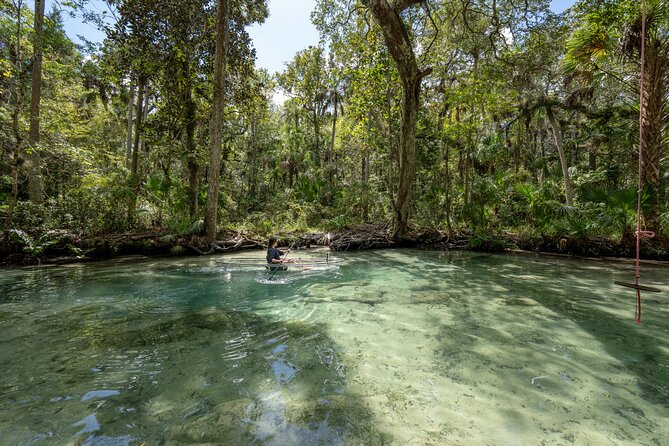 Clear Kayak Tours on Chassahowitzka River - Customer Reviews