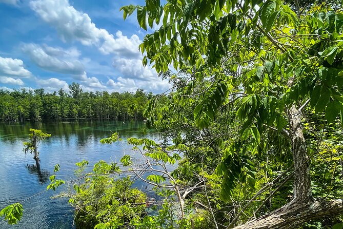 Clear Kayaking Eco Adventure Tour in Marianna - Meeting Point Details