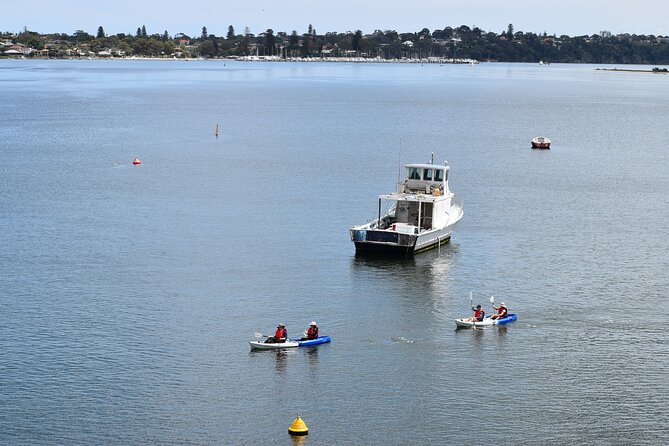 Cliffs and Caves Kayak Tour in Swan River - Meeting Point Details