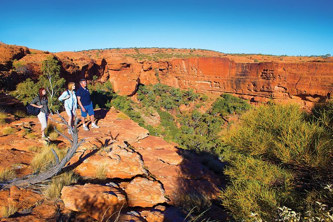 Coach Transfer From Ayers Rock (Uluru) to Kings Canyon - Booking Information