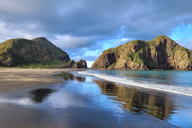 Coast and Rainforest Eco-Tour From Auckland With Lunch - What To Expect