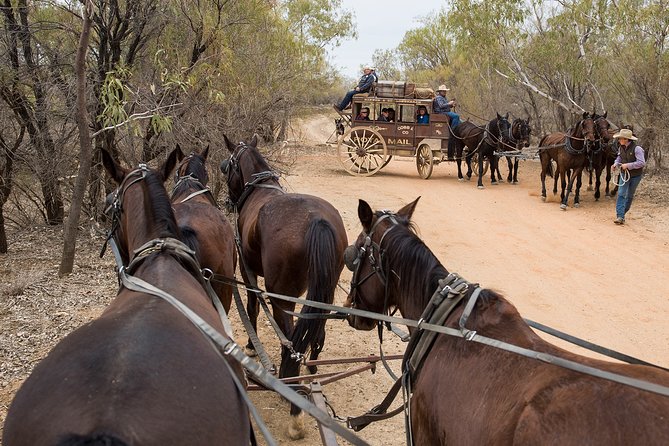 Cobb and Co Stagecoach Experience - Inclusions and Logistics