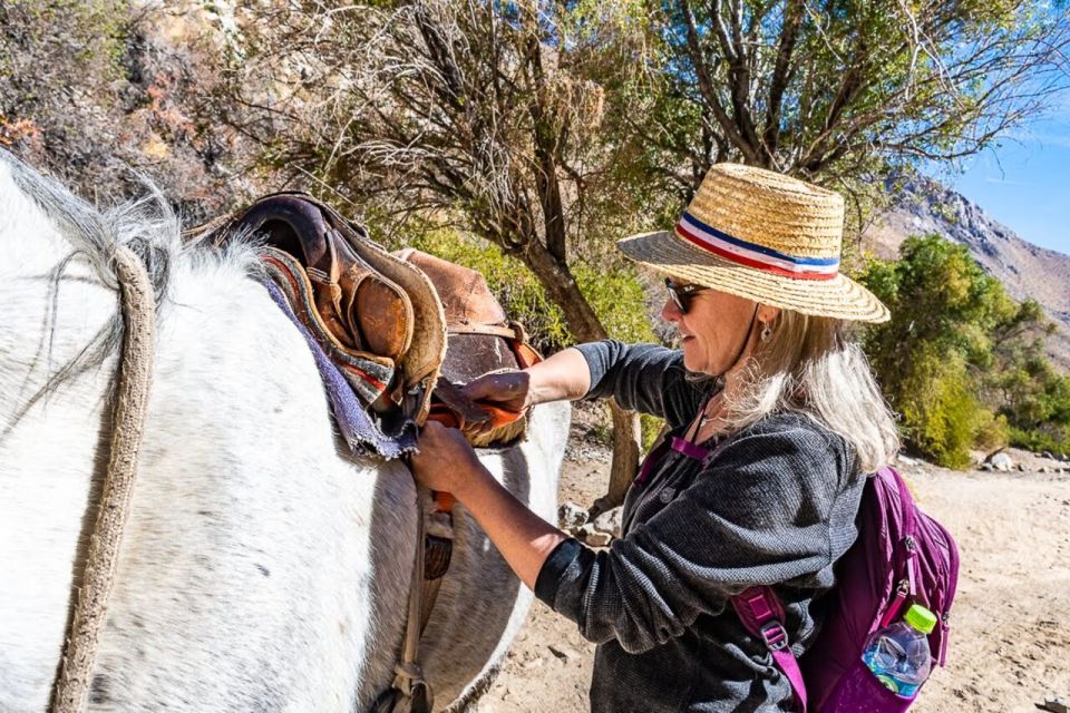 Cochiguaz: Horseback Riding, River and Mountain Range - Experience