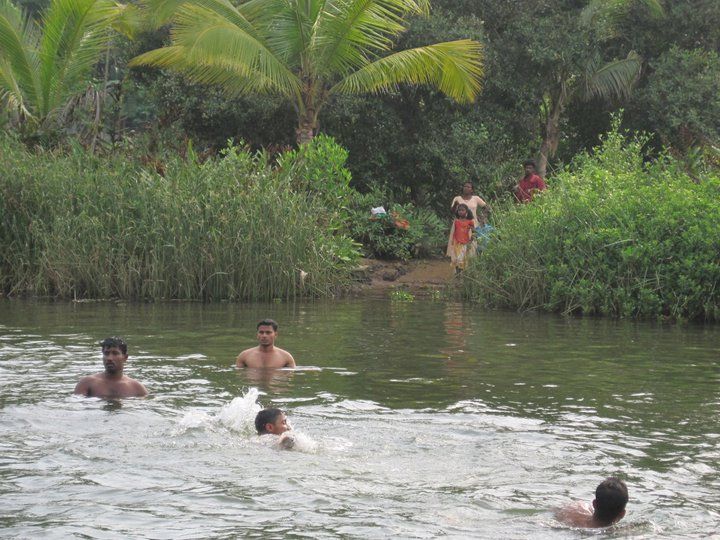 Cochin Shore Excursion With Lijo Jose - Experience Highlights of the Tour