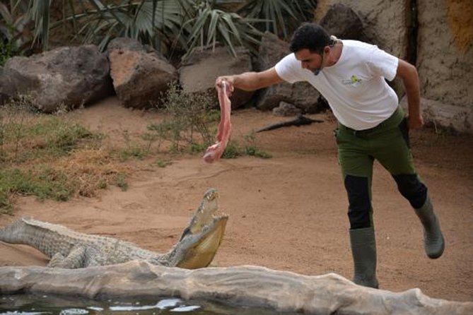 Cocodrilo Park Zoo Admission Ticket in Agüimes - Visitor Experience and Reviews