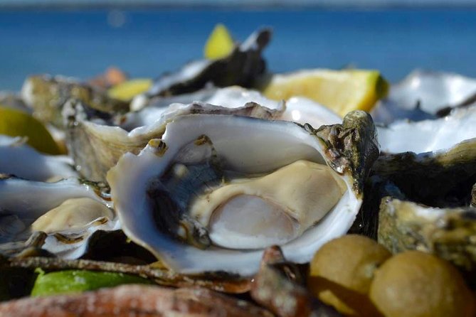 Coffin Bay Oysters, Ocean & Nature Tour - Traveler Assistance