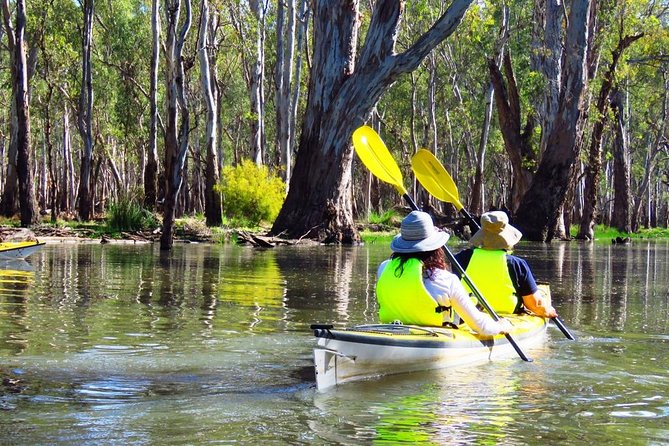 Cohuna Lagoon 3 Hour Kayak Eco Tour - Traveler Reviews