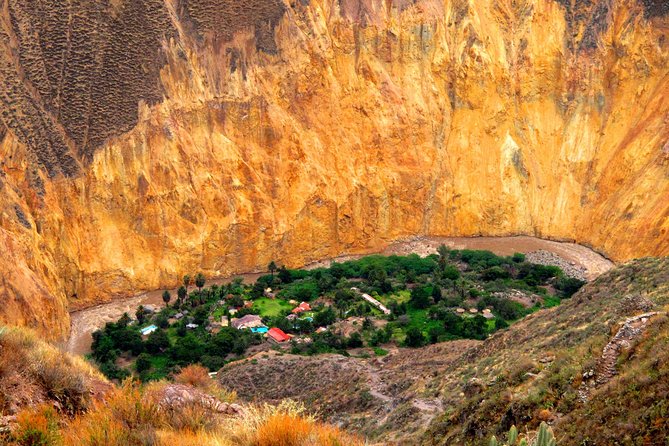 Colca Canyon Trek 3 Day 2 Night - Customer Reviews