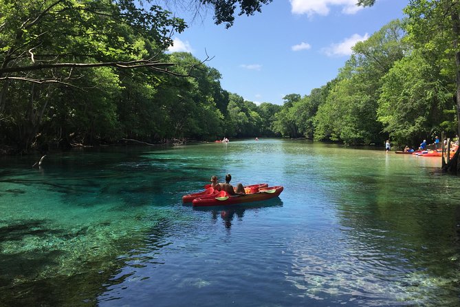 Cold Spring Kayak or Canoe Eco Tour With Snorkeling, Swimming (Mar ) - Included Activities and Equipment