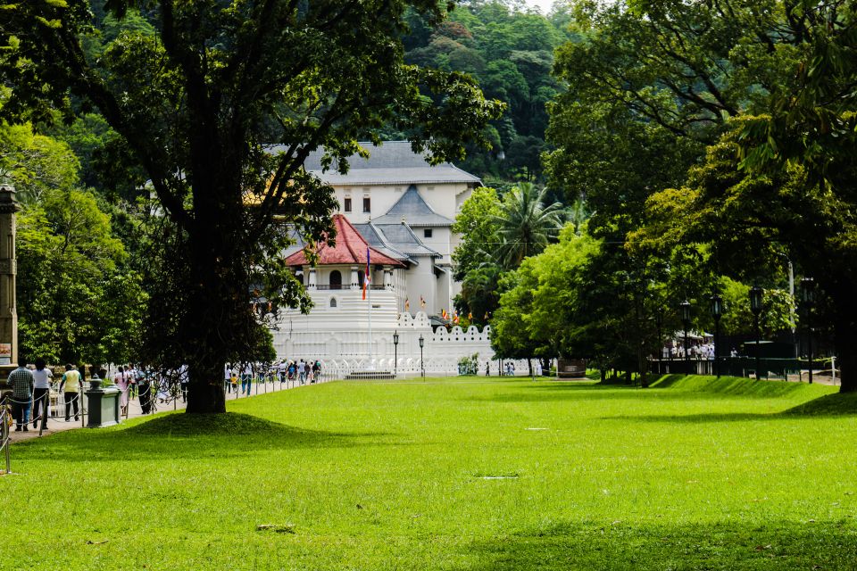 Colombo or Negombo: Temple of the Tooth Kandy Day Trip - Experience Highlights