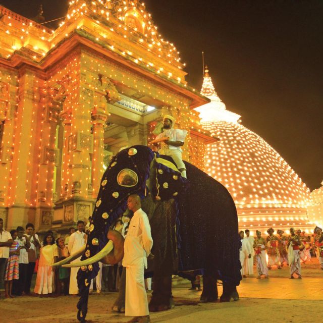 Colombo Port Shore Excursions Colombo City & Kalaniya Temple - Inclusions