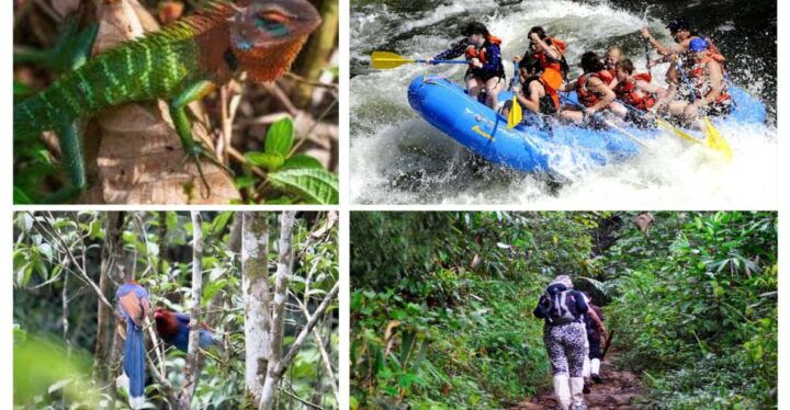 Colombo: Water Rafting, Bird Watching, Village & Rainforest - Pricing and Booking