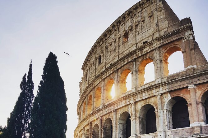 Colosseum Guided Tour - Meeting and Pickup Details