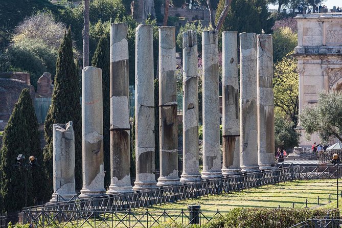 Colosseum Tour With Gladiator Arena Floor, Forum and Palatine Hill - Cancellation Policy