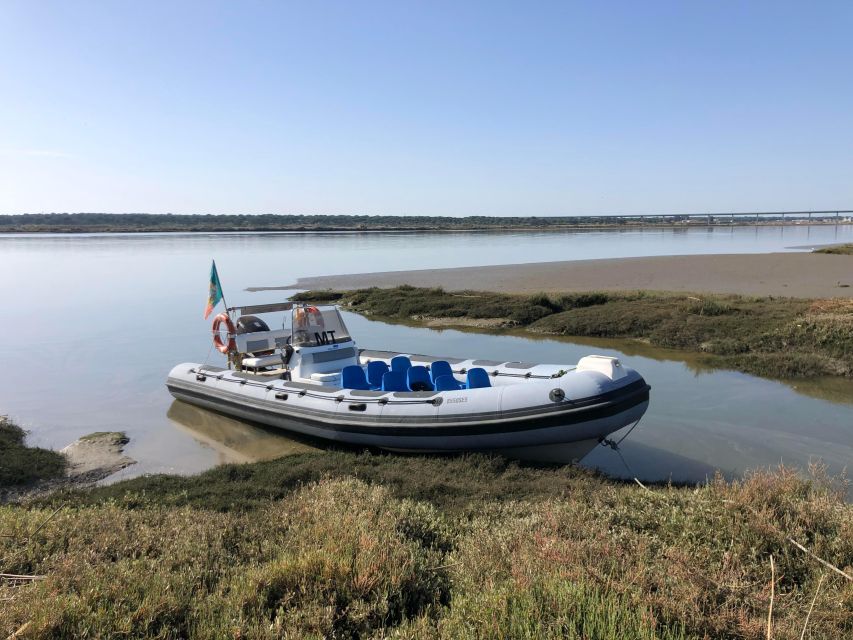 Comporta to Mourisca Tide Mill Boat Tour - Language Options and Guides