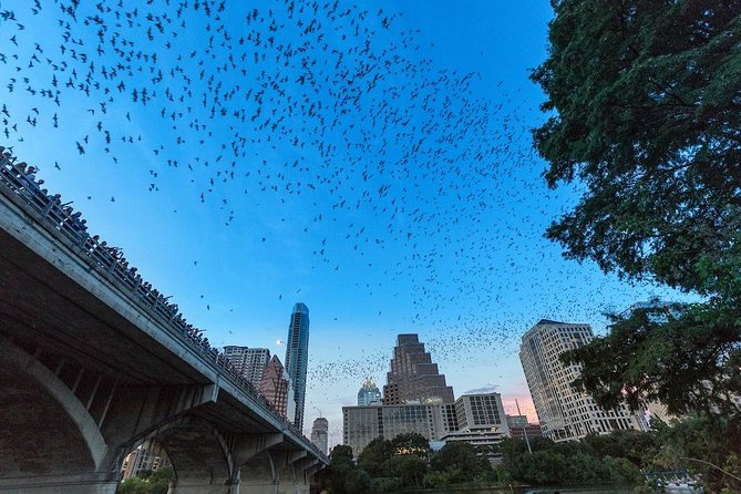 Congress Avenue Bat Bridge Kayak Tour in Austin - Meeting Point and Launch Instructions