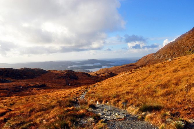 Connemara National Park Nature Trails Self-Guided Including Lunch - Experience the Flora and Fauna