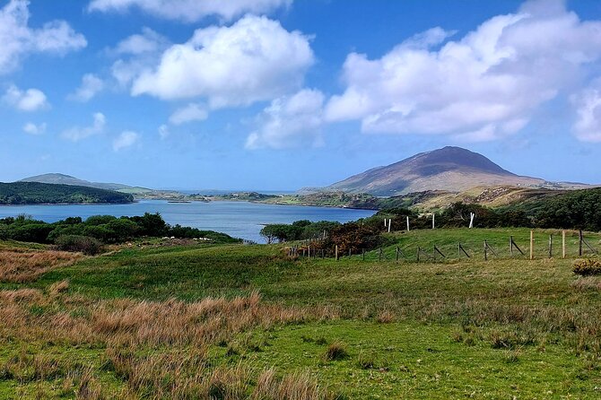 Connemara Sheep Farm Experience & Kylemore Abbey by Lux Limousine - Exclusive Sheep Farm Experience