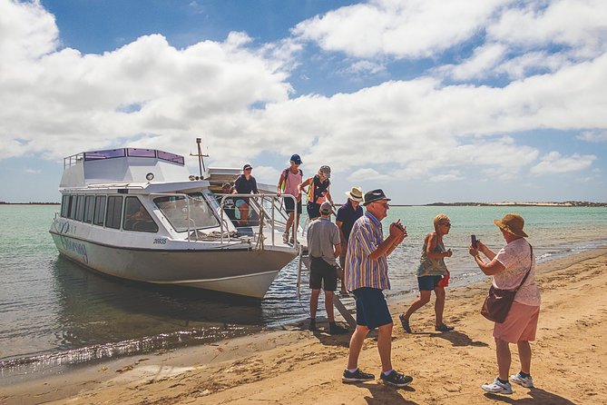 Coorong 3.5-Hour Discovery Cruise - Traveler Testimonials