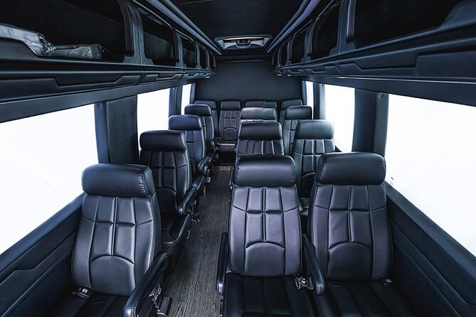 Copenhagen City to Copenhagen Port by Private Minibus (Mar ) - Experience Expectations