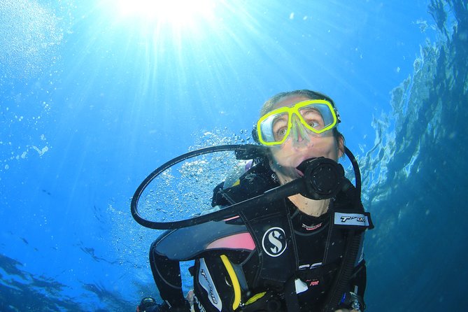 Coral Garden and Liberty Shipwreck Intro to Scuba Diving (Mar ) - Dive Into History