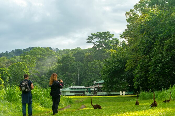 Corcovado and Drake Bay 2-Day Small-Group Safari Guided Tour - Customer Reviews and Testimonials