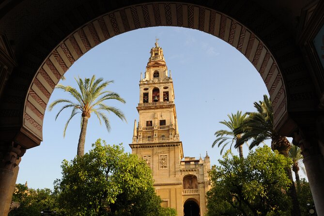 Cordoba Day Trip With Mosque-Cathedral Ticket From Seville - Traveler Insights and Reviews