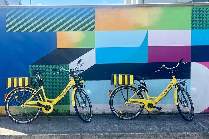 Cork City E-bike Tour - Traveler Experience