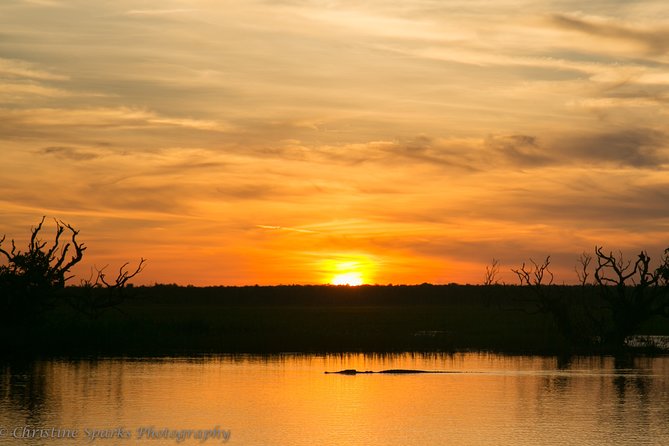 Corroboree Billabong Wetland Cruises - 2 Hour Sunset Cruise - Booking Details