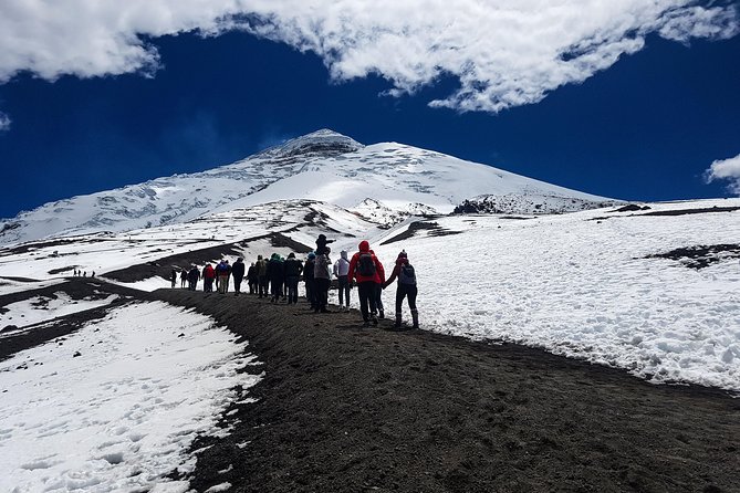 Cotopaxi Full-Day From Quito Including Entrances - Cotopaxi National Park Overview