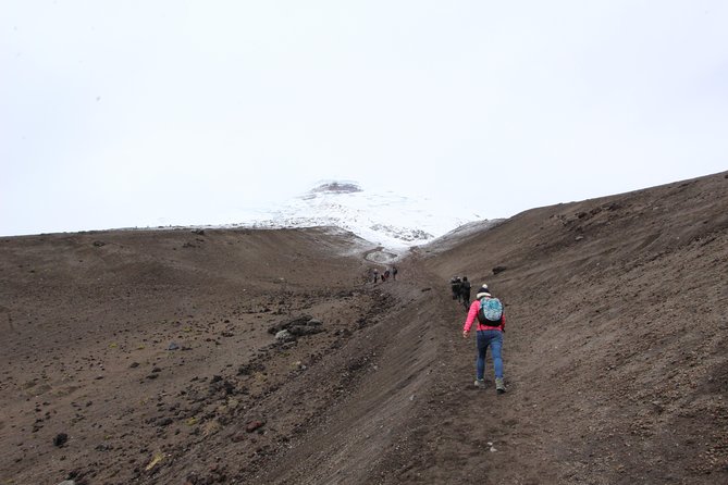Cotopaxi Volcano and Limpiopungo Lagoon Excursion From Quito - Tour Inclusions