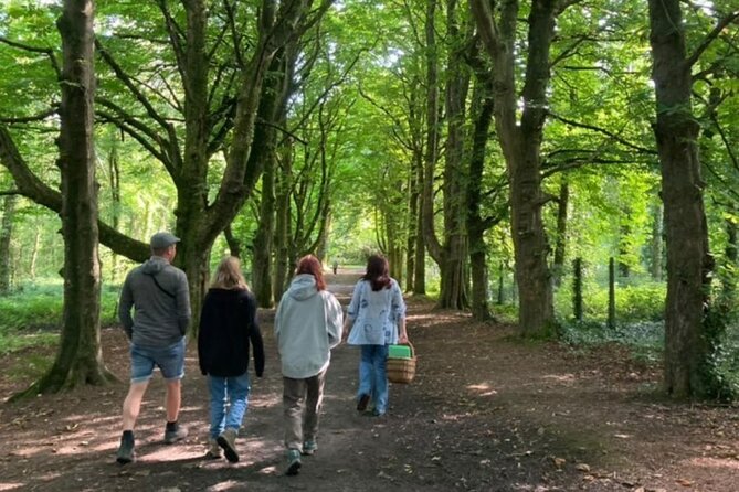 Courtown Woodland Guided Tour - Tour Schedule