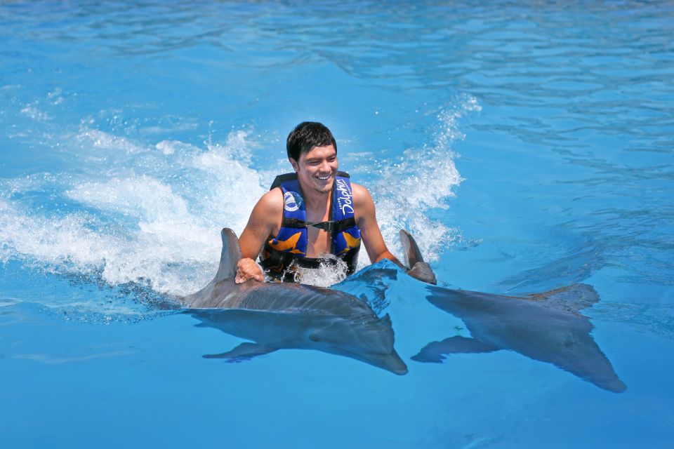 Cozumel: Dolphin Royal Swim - Experience Highlights