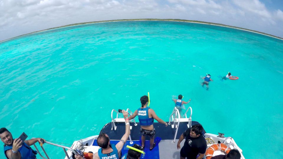Cozumel: Reef Adventure With Snorkeling and Lunch - Experience Highlights