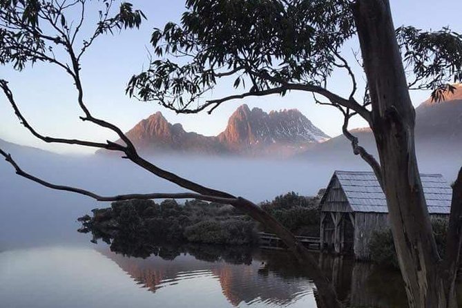 Cradle Mountain Day Tour From Launceston Including Lunch - Traveler Reviews and Feedback