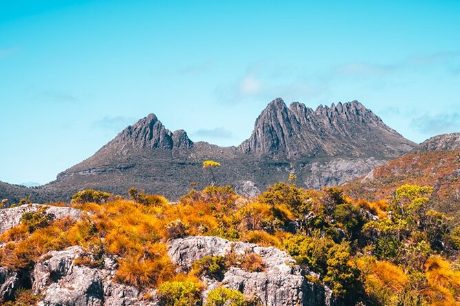 Cradle Mountain National Park Day Tour From Launceston - Customer Reviews and Feedback