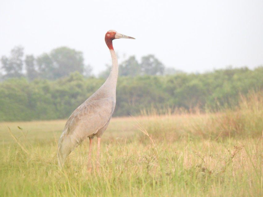 CRANES OF THE MEKONG by Discovery Center, Kep West - Activity Duration