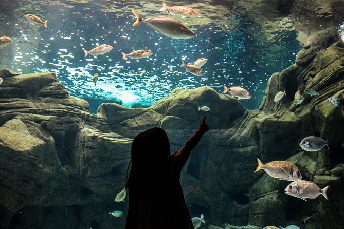 CRETAquarium Entrance Ticket in Crete - Ticket Pricing