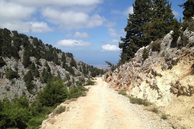 Crete White Mountains Safari Including Lunch - Traveler Feedback