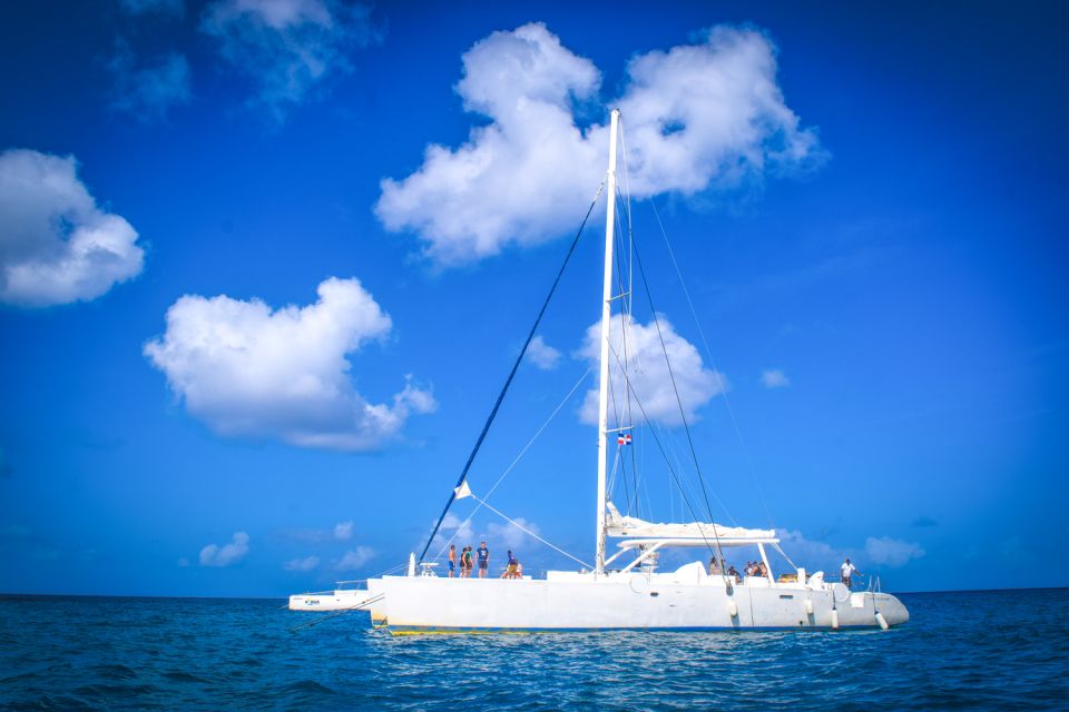 Cruise to Isla Saona on a Catamaran - Experience Description