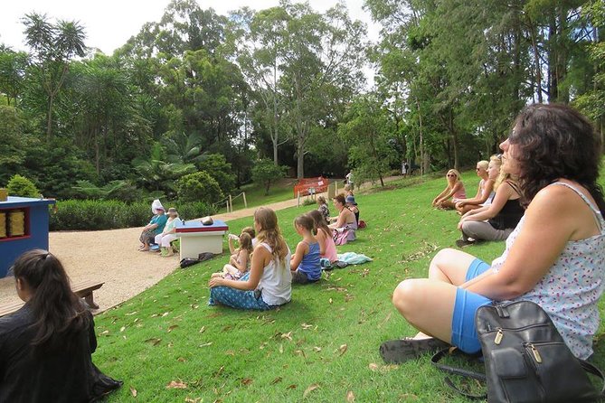 Crystal Castle Shuttle From Byron Bay (Half Day) - Traveler Resources and Reviews