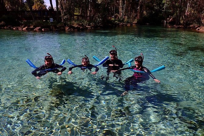 Crystal River Manatee Small-Group Snorkeling Experience - Snorkeling Experience Highlights