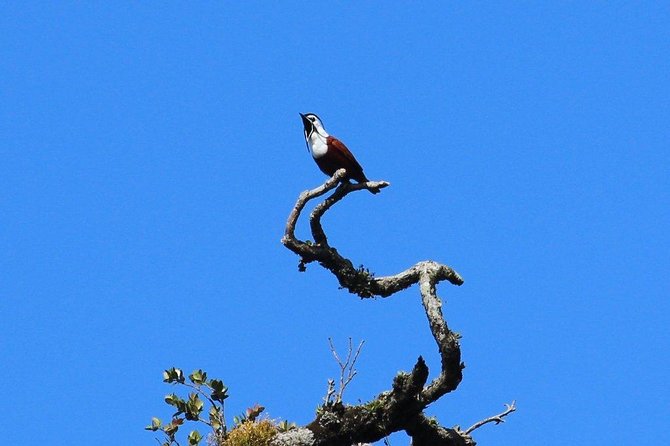 Curi Cancha Birding Tour With Esteban Daily Guided Tours - Meeting Details