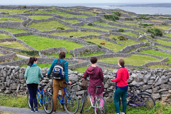 Cycling Inishmore Island. Aran Islands. Self-Guided. Full Day. - Cycle Through Lush Green Fields